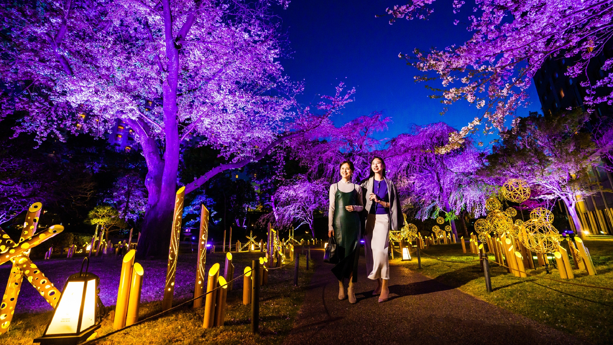 「竹あかり」のライトアップに包まれた日本庭園の散策がおすすめ（画像は桜の時期です）