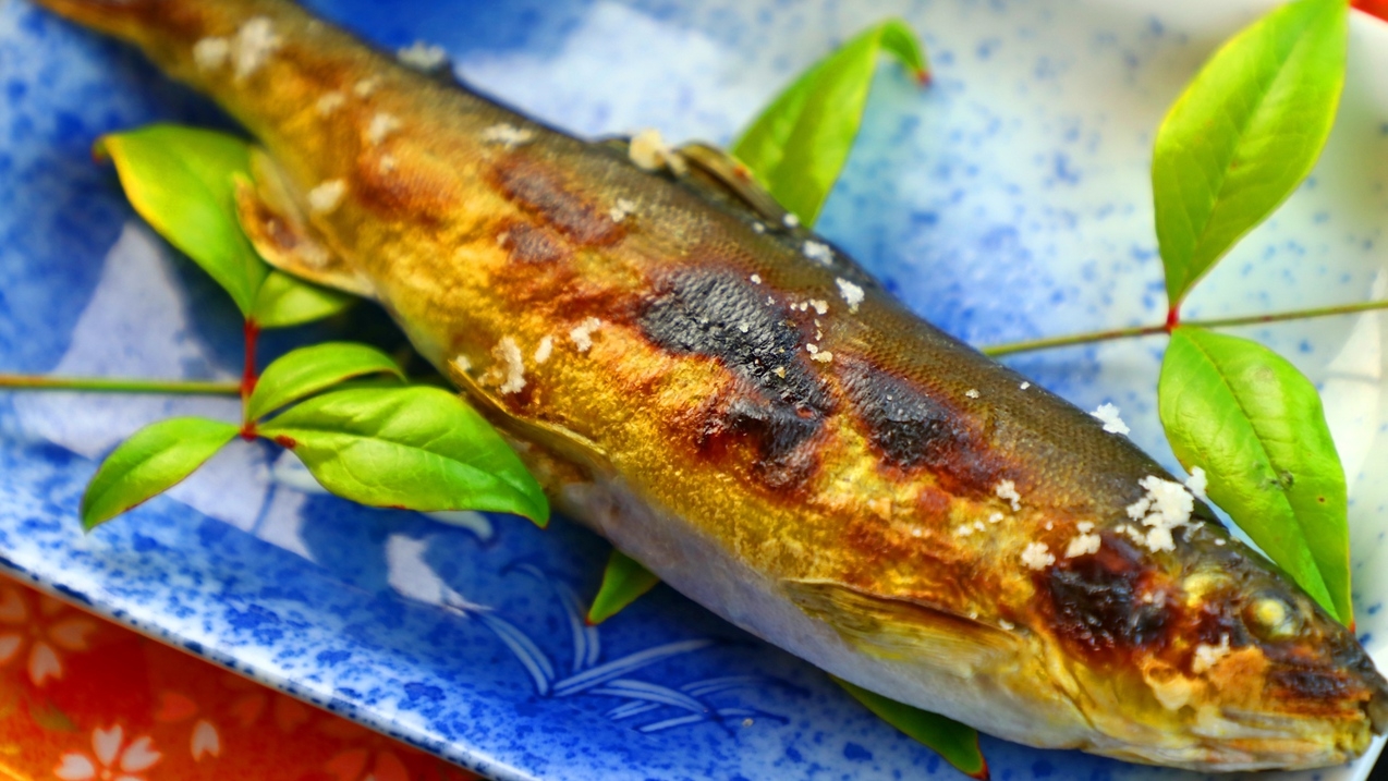 【1泊2食付き】季節で変わる、しんこう苑のスタンダードプラン。愛情詰まったお料理を召し上がれ〜♪