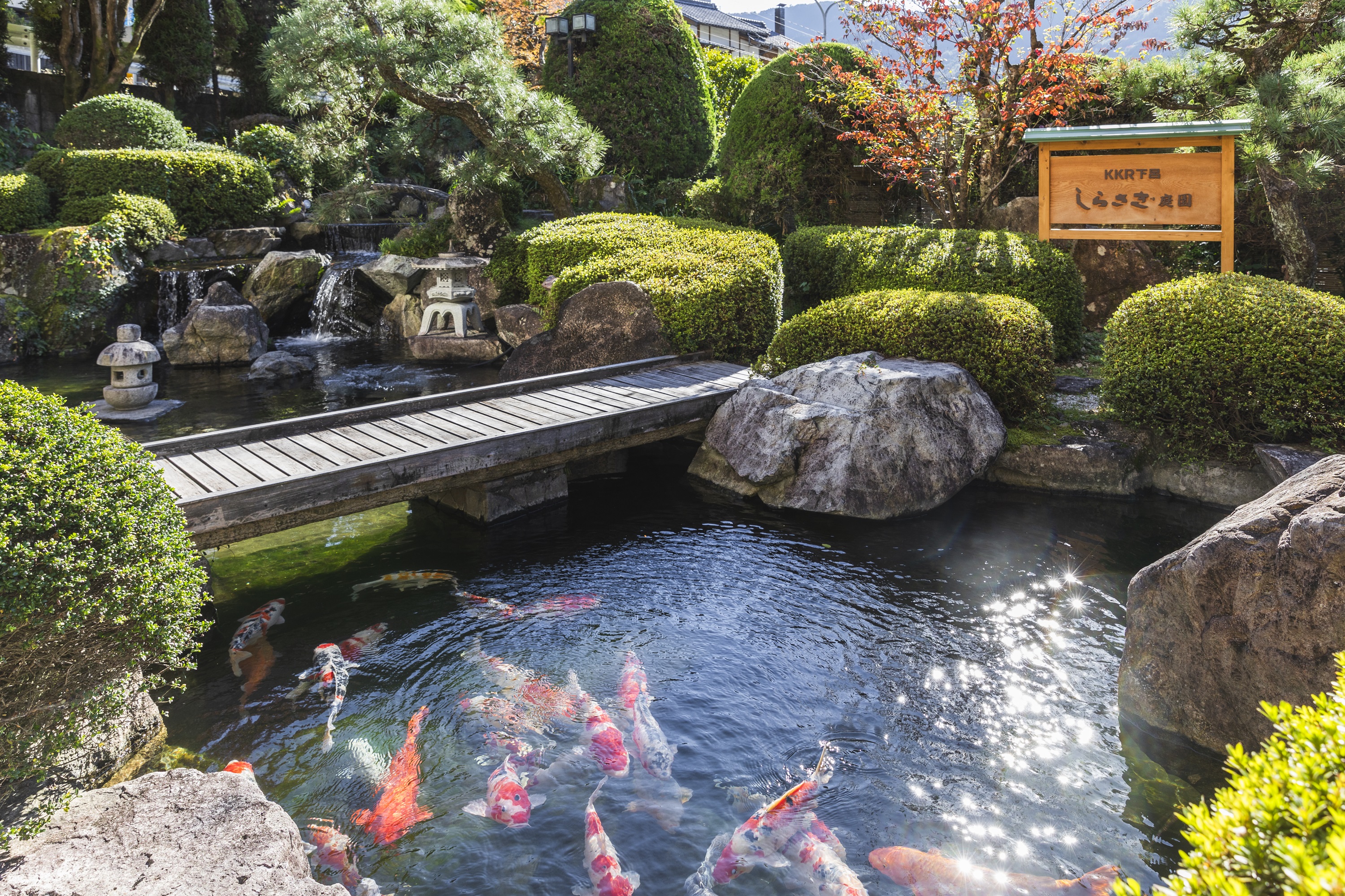 庭園にある池にはたくさんの錦鯉が気持ちよさそうに泳いでいます。無料の鯉の餌やり体験はお子様にも大人気のイベントです。鯉が餌を食べる春から秋にかけてぜひご参加ください。