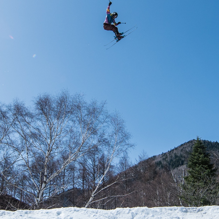 写真2