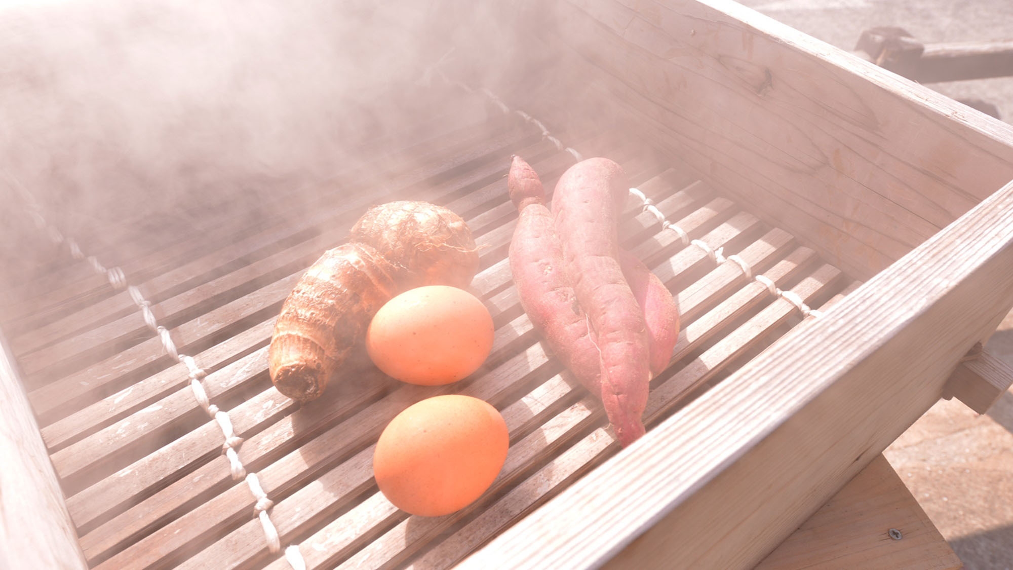 【鯉のぼり祭り】　杖立の絶景＆絶品グルメ！くまもとの郷土料理・馬刺しを楽しむ　（2食付）