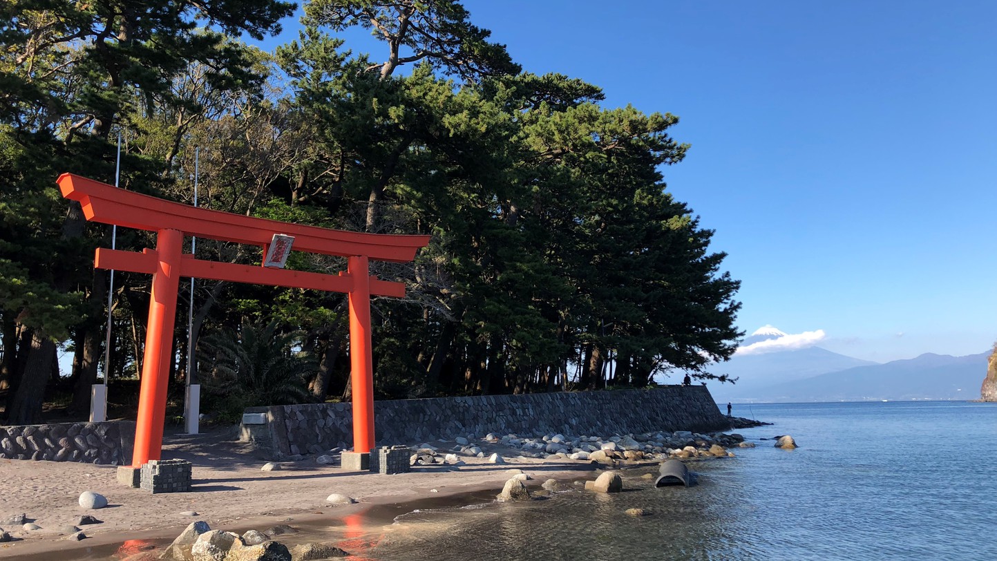 【お刺身こそが旅の主役】駿河湾の鮮度を喰らう！溢れる「地魚大舟盛」と漁師町の恵みを堪能する海鮮会席