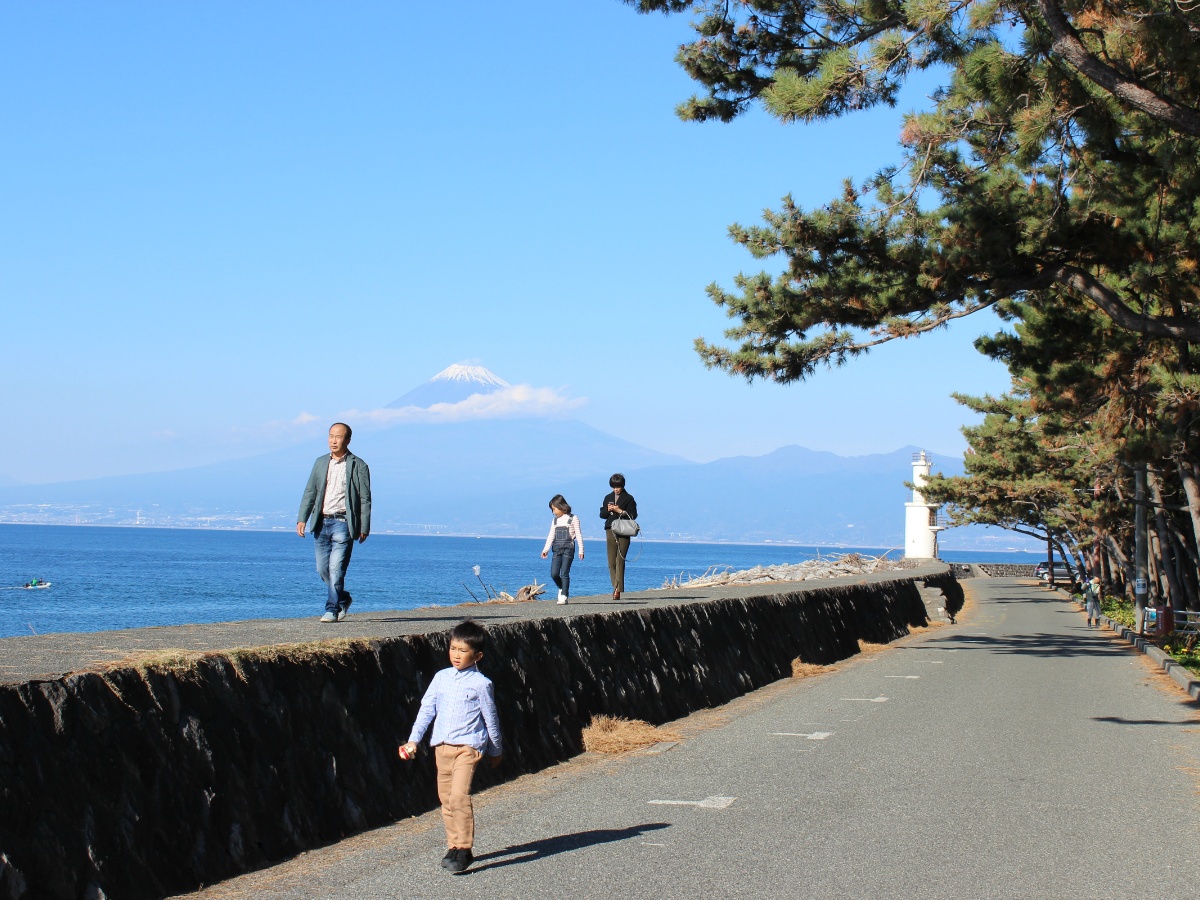 駿河湾と家族と富士