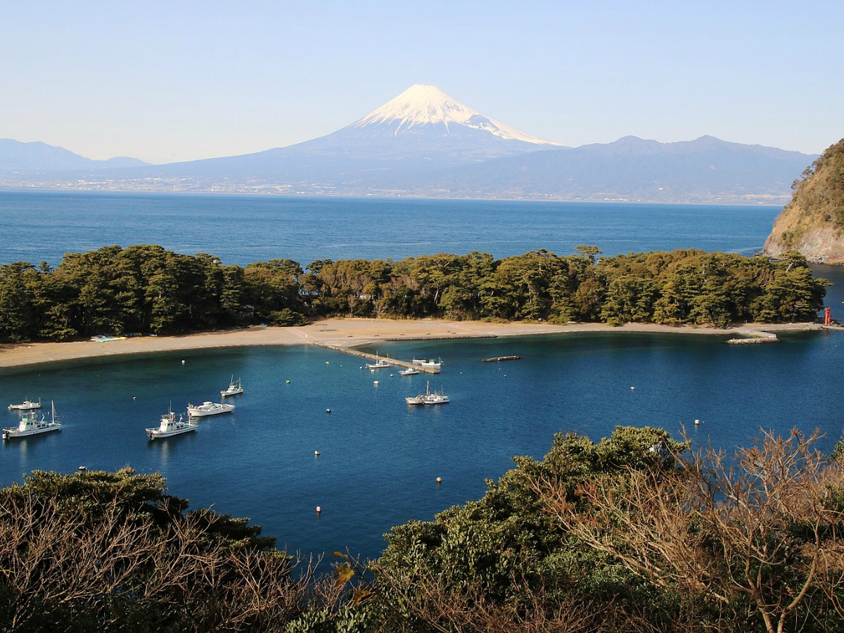 展望台からの岬と富士