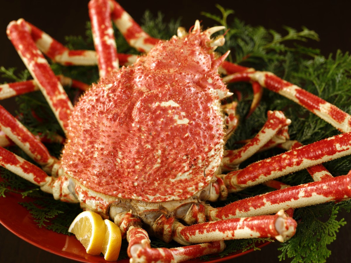 【夕食】世界最大の蟹「高足蟹」≪別注可≫