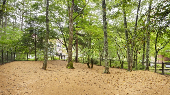 【連泊プラン】4泊以上でさらにお得！のんびりコテージステイ（素泊まり）