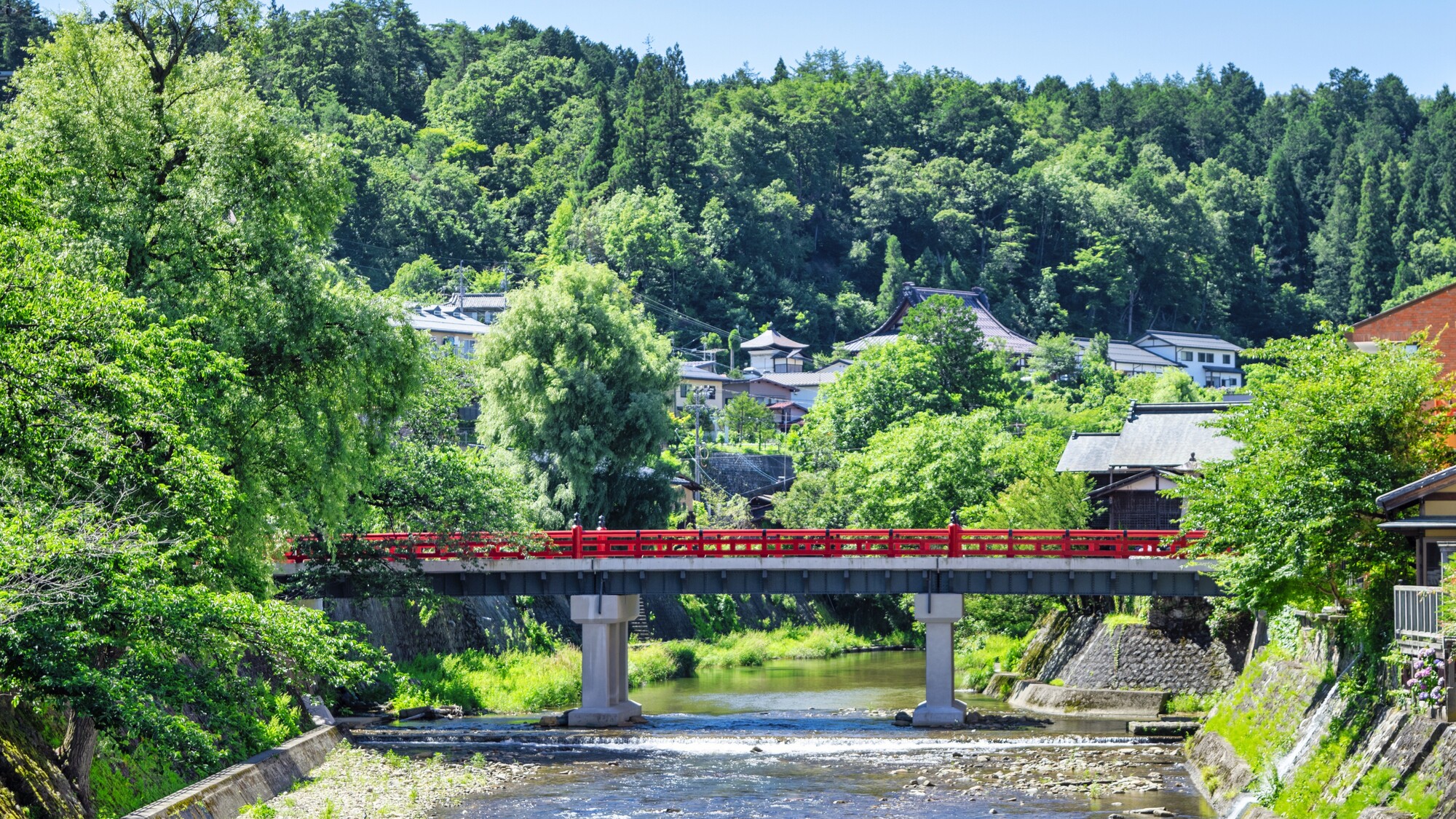 わんわんパラダイス 高山（旧：高山わんわんパラダイス ホテル&コテージ） - 写真 98