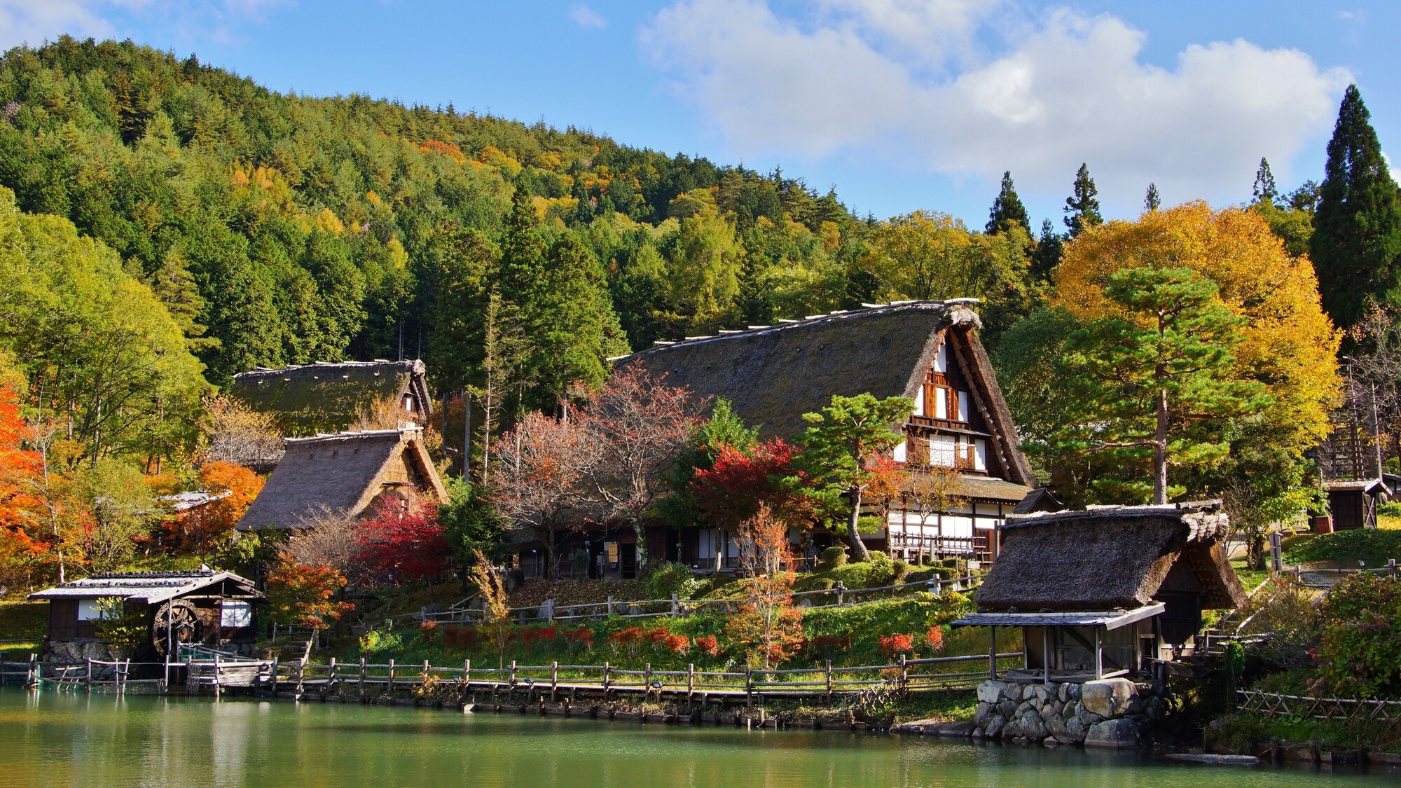 わんわんパラダイス 高山（旧：高山わんわんパラダイス ホテル&コテージ） - 写真 109