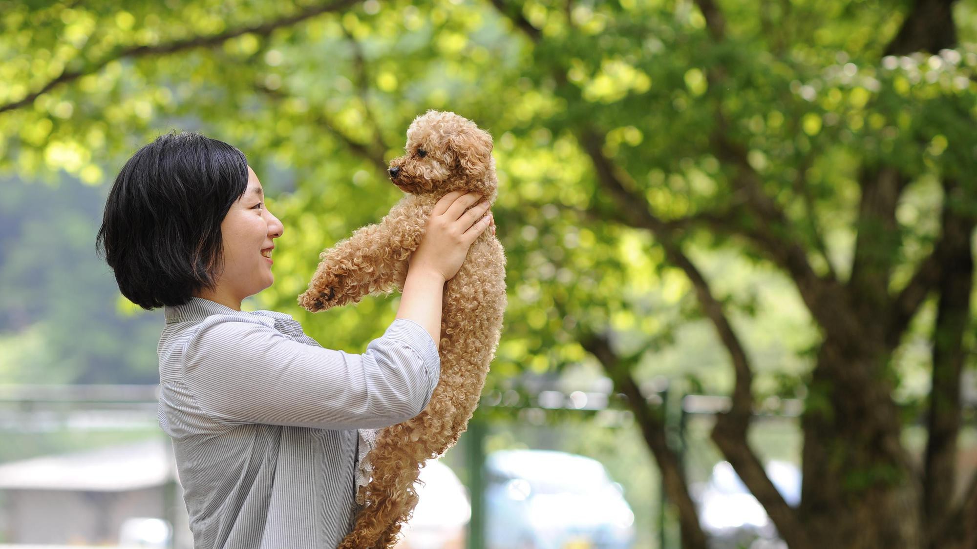 自然の中で、大切な愛犬とゆっくりおくつろぎください。