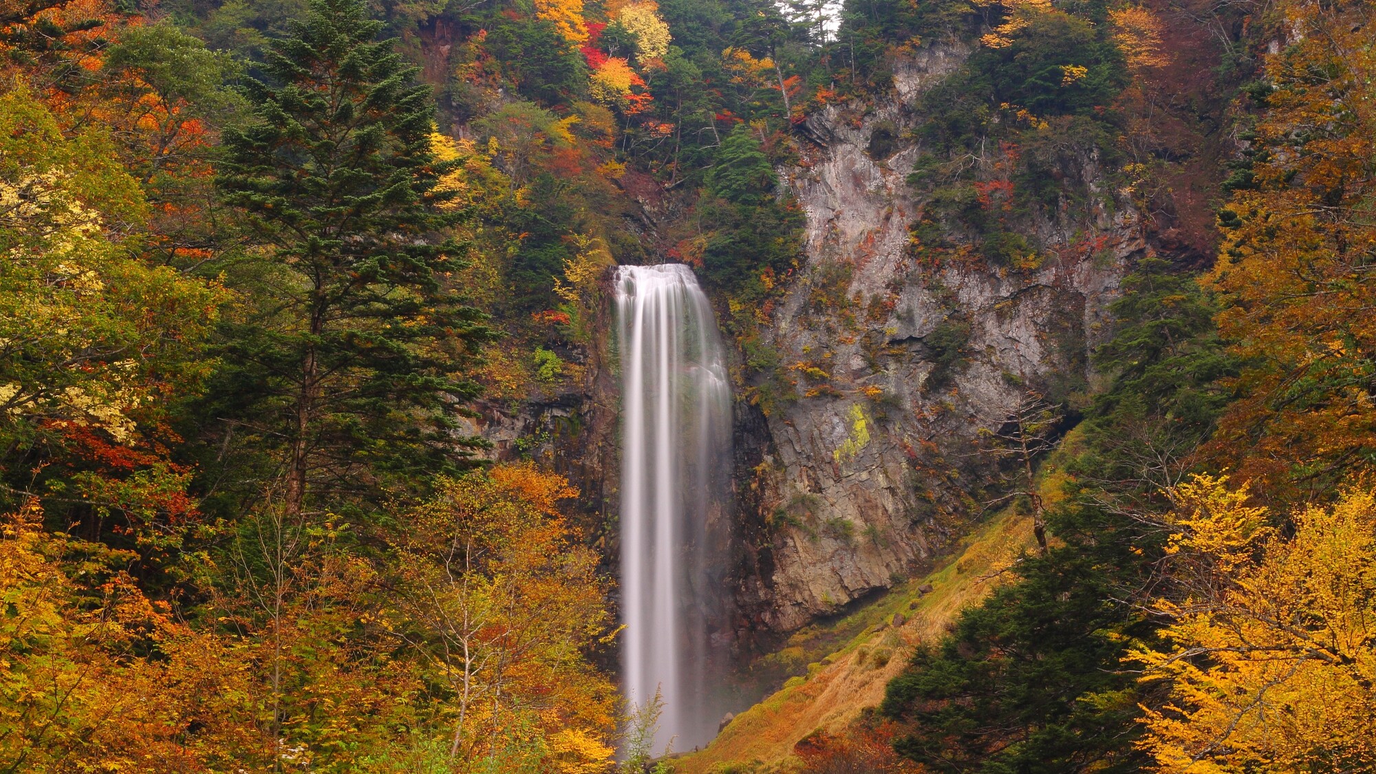 わんわんパラダイス 高山（旧：高山わんわんパラダイス ホテル&コテージ） - 写真 105