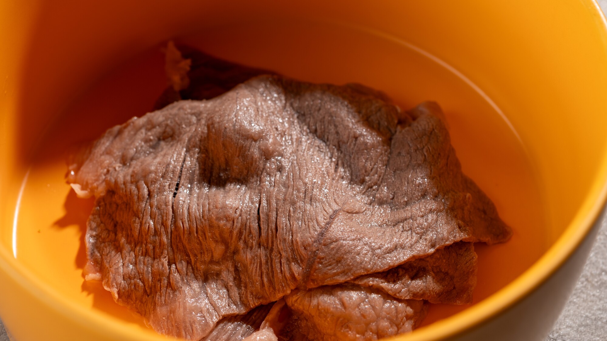わんわんパラダイス 高山（旧：高山わんわんパラダイス ホテル&コテージ） - 写真 71