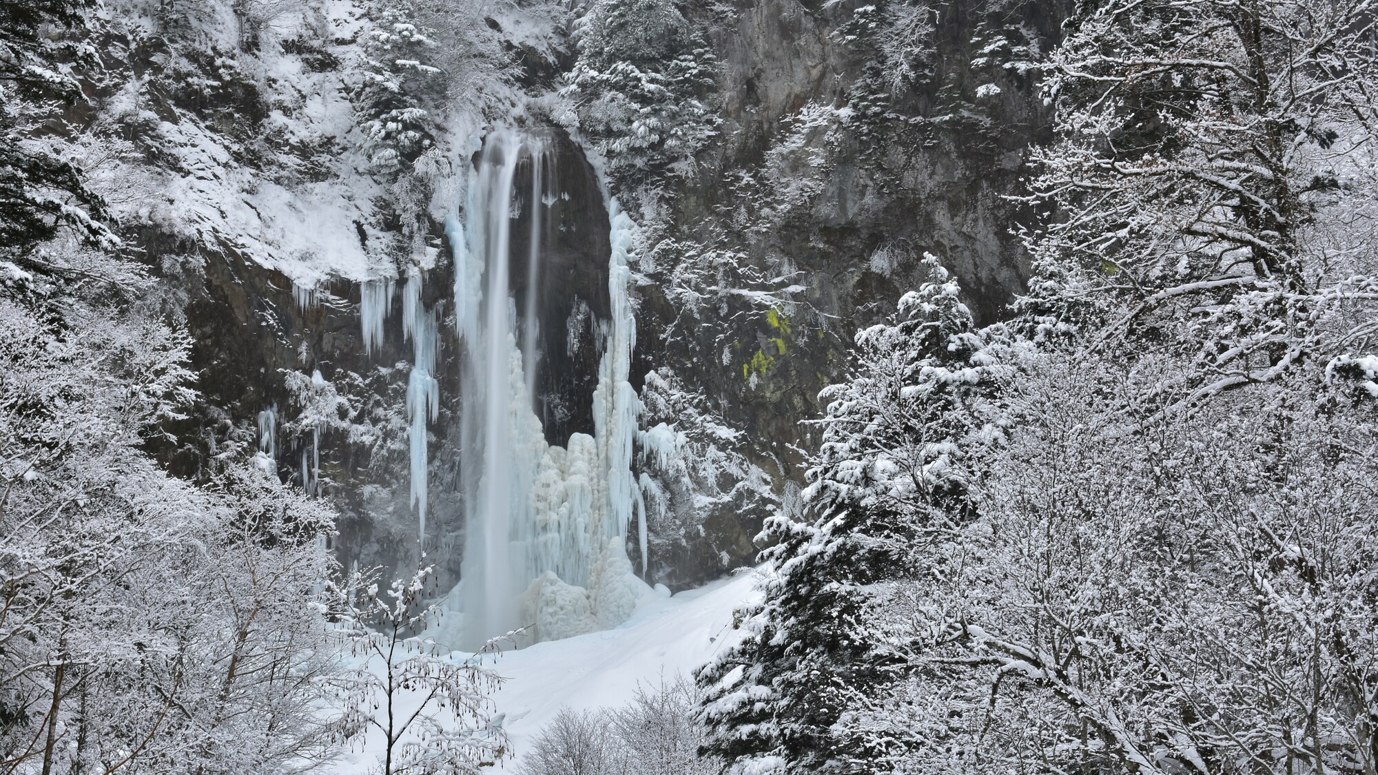 わんわんパラダイス 高山（旧：高山わんわんパラダイス ホテル&コテージ） - 写真 107