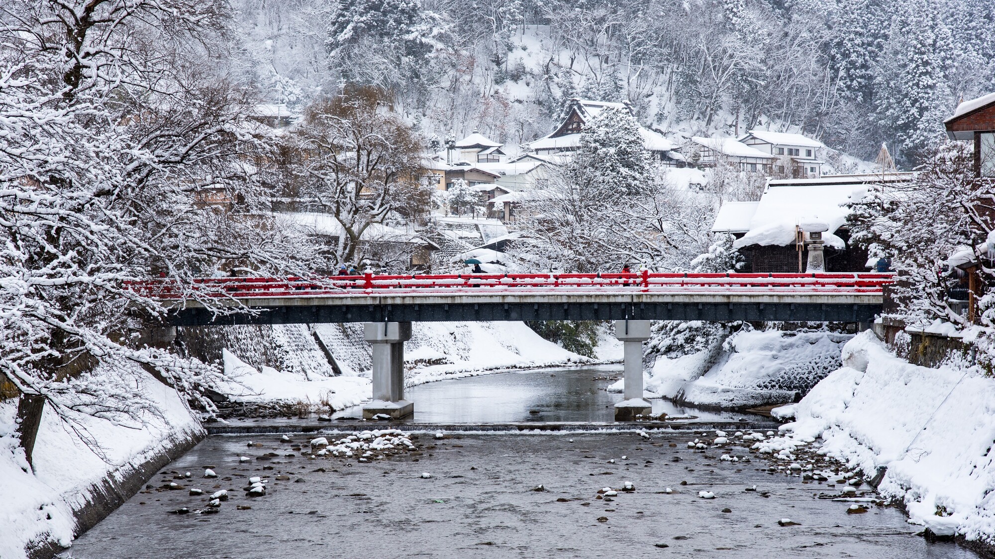 わんわんパラダイス 高山（旧：高山わんわんパラダイス ホテル&コテージ） - 写真 106