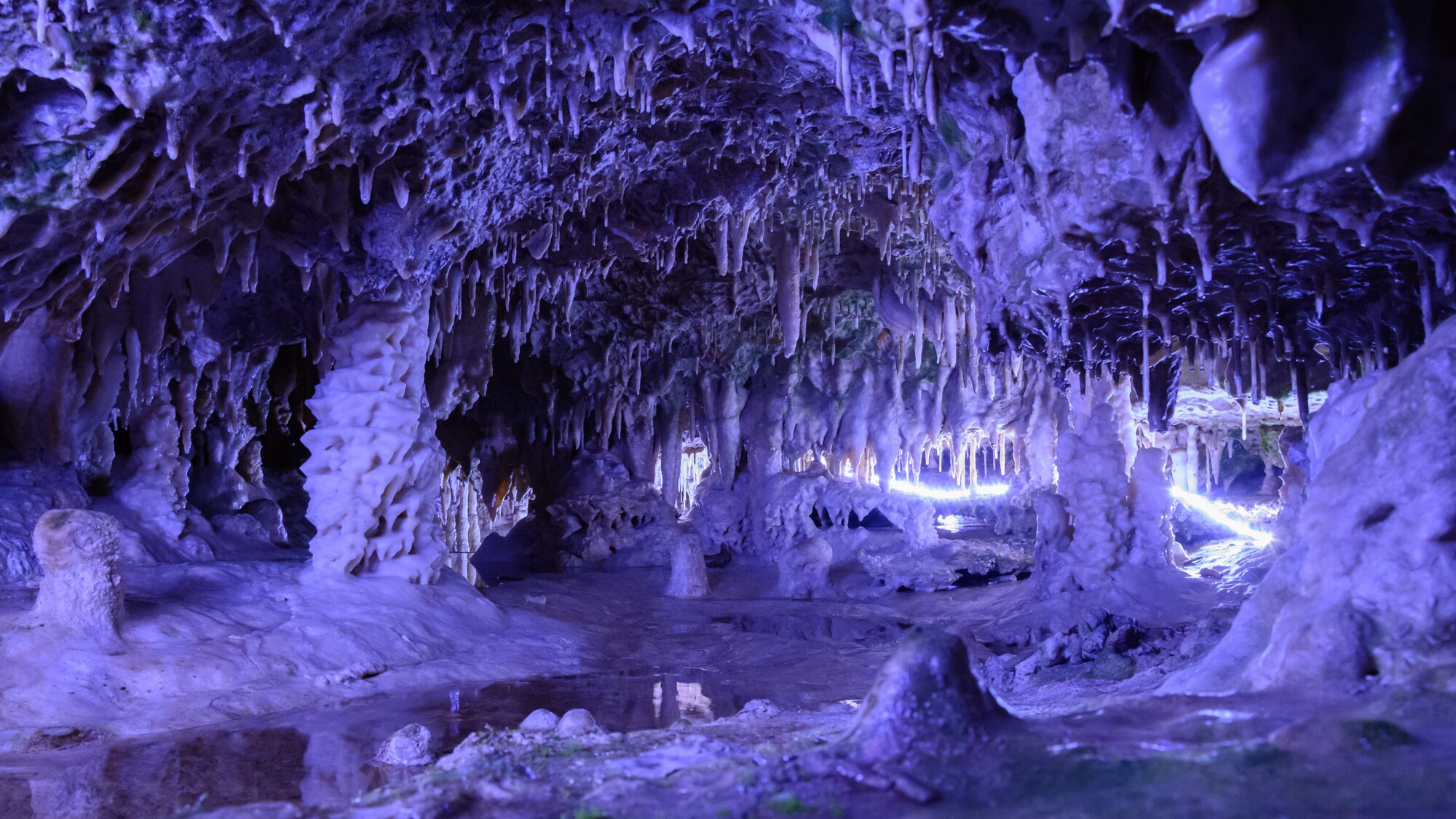 わんわんパラダイス 高山（旧：高山わんわんパラダイス ホテル&コテージ） - 写真 113