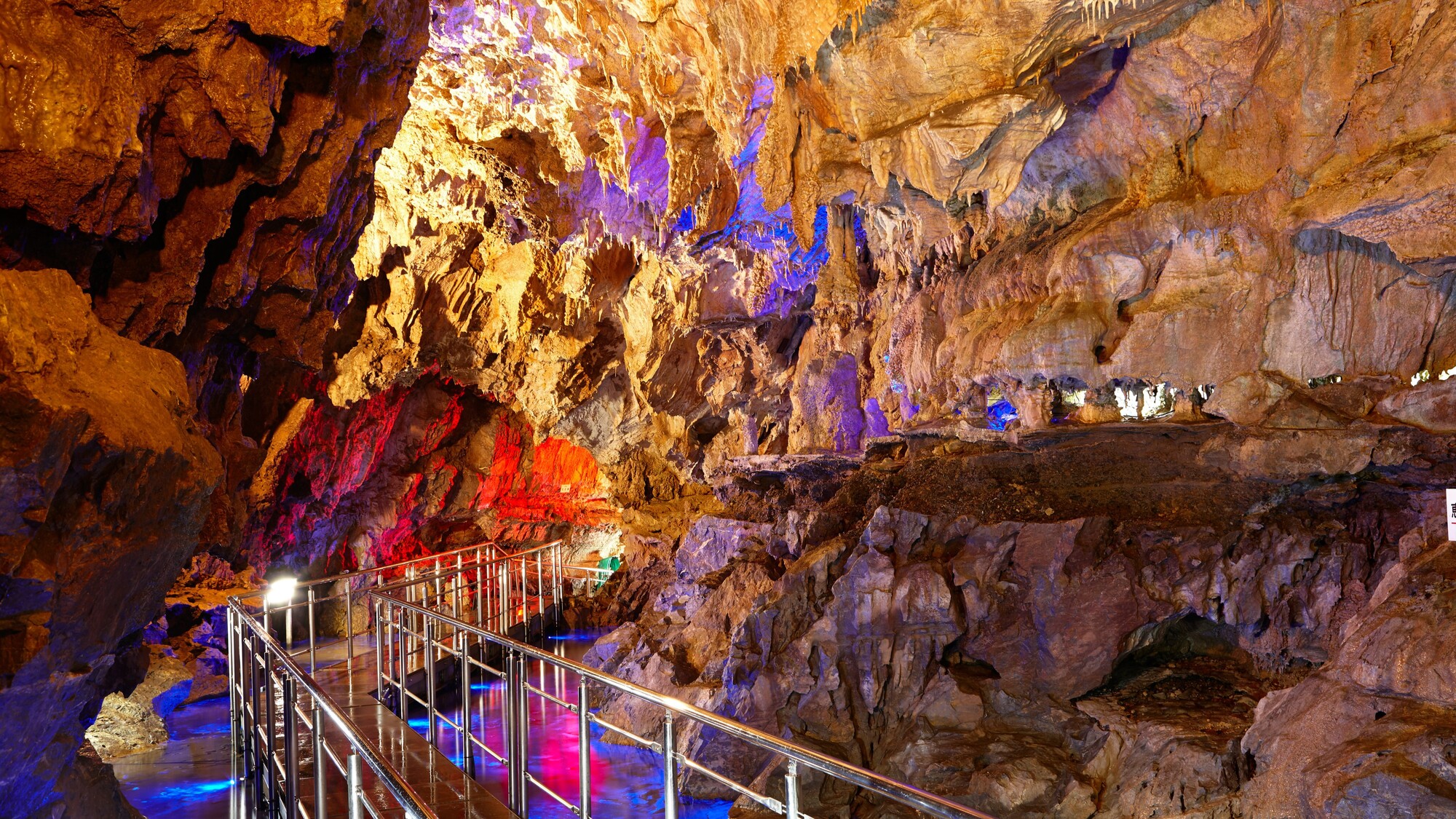 わんわんパラダイス 高山（旧：高山わんわんパラダイス ホテル&コテージ） - 写真 112