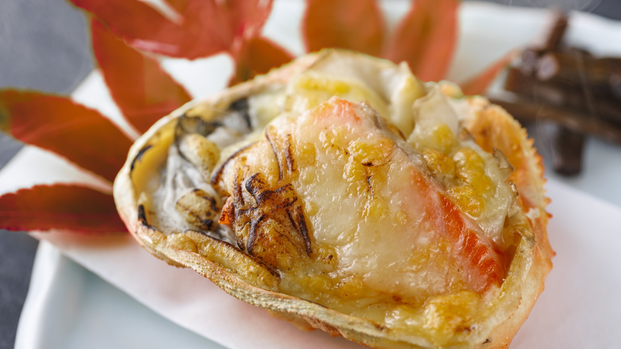 わんわんパラダイス 高山（旧：高山わんわんパラダイス ホテル&コテージ） - 写真 56