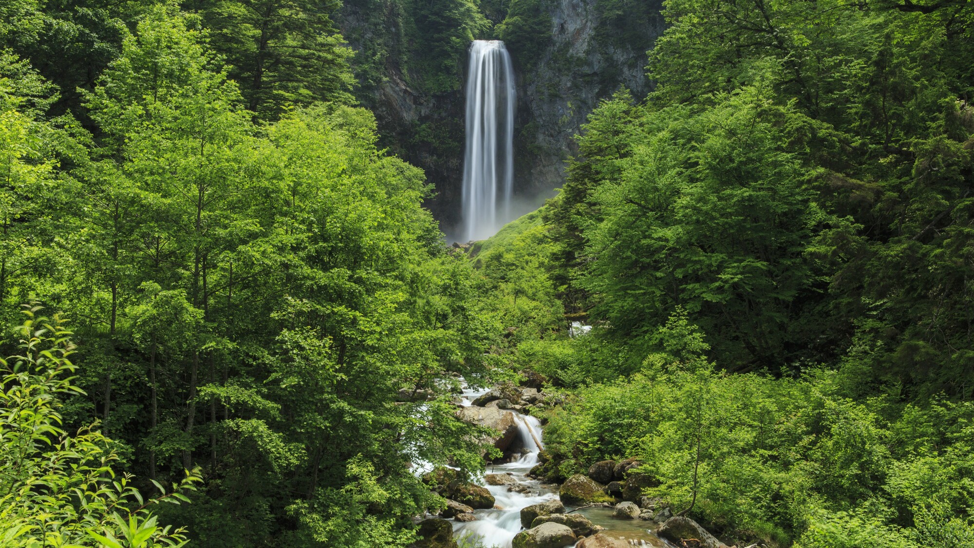 わんわんパラダイス 高山（旧：高山わんわんパラダイス ホテル&コテージ） - 写真 99