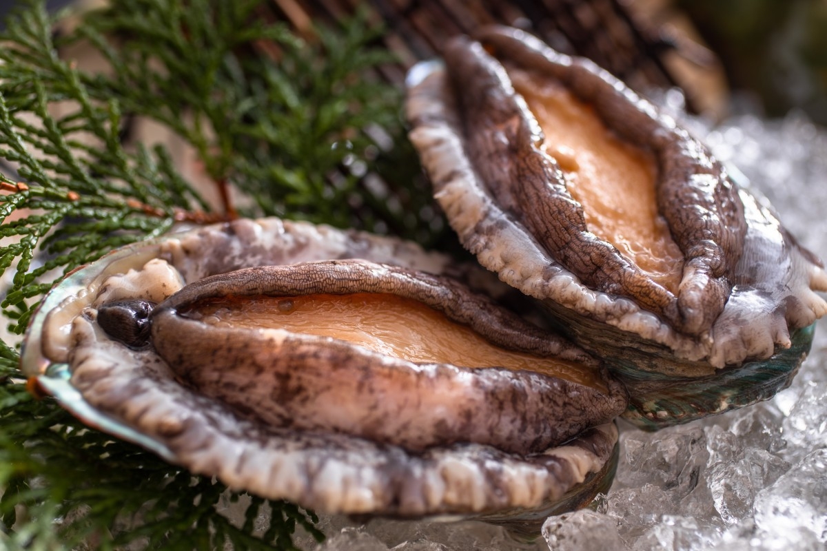 【個室食事】活あわび踊り焼き・但馬牛・のどぐろコース＋（朝食海鮮釜飯）