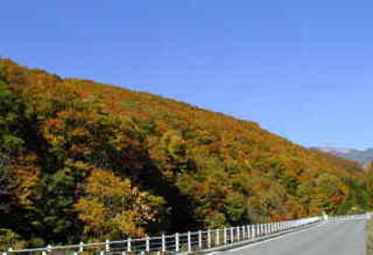 秋の楠川紅葉