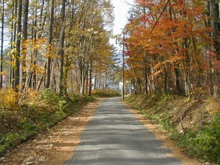 紅葉の地蔵通り