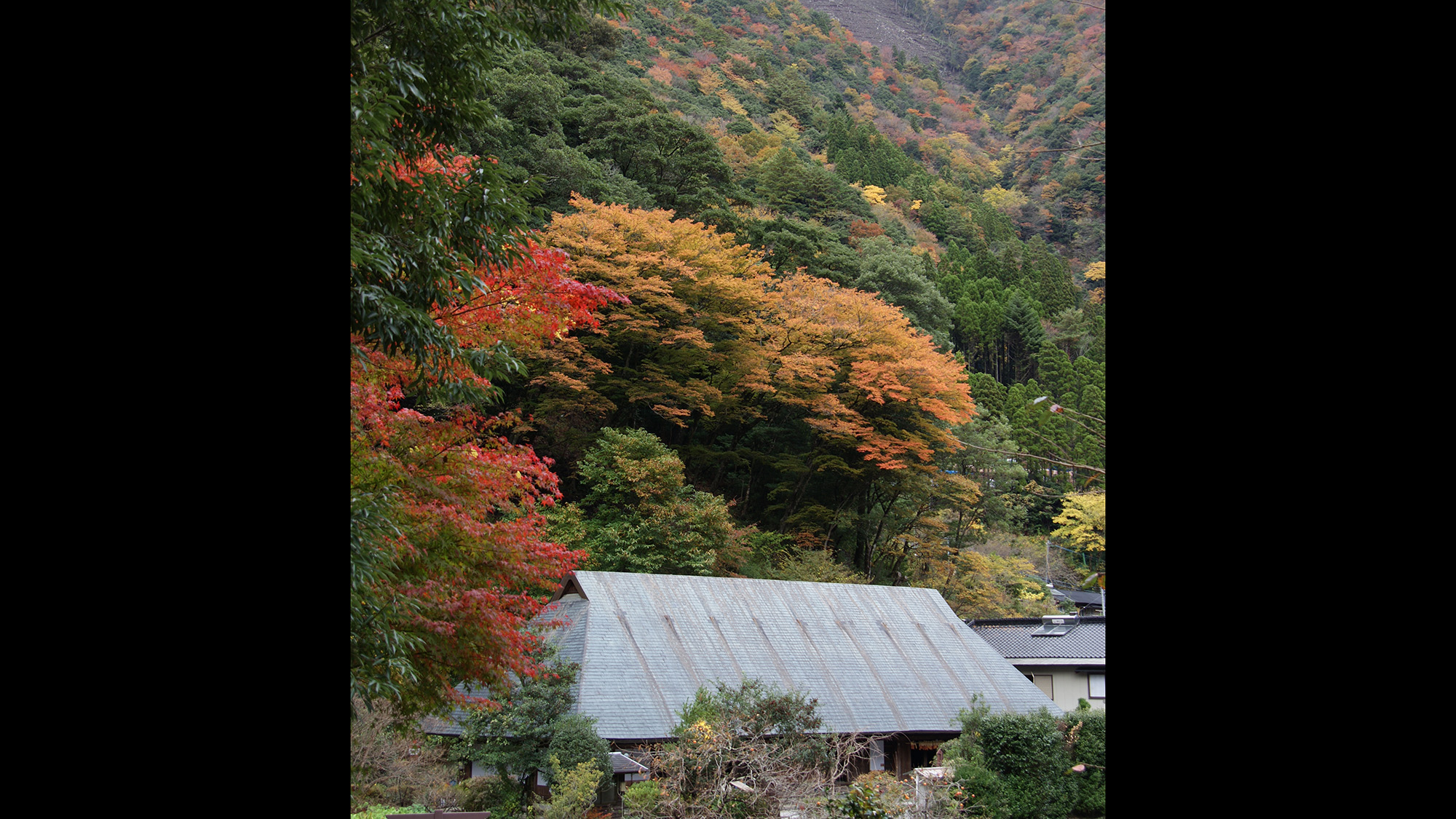 *【外観】鶴富屋敷・国指定重要文化財