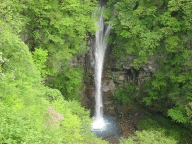 新緑と駒止めの滝