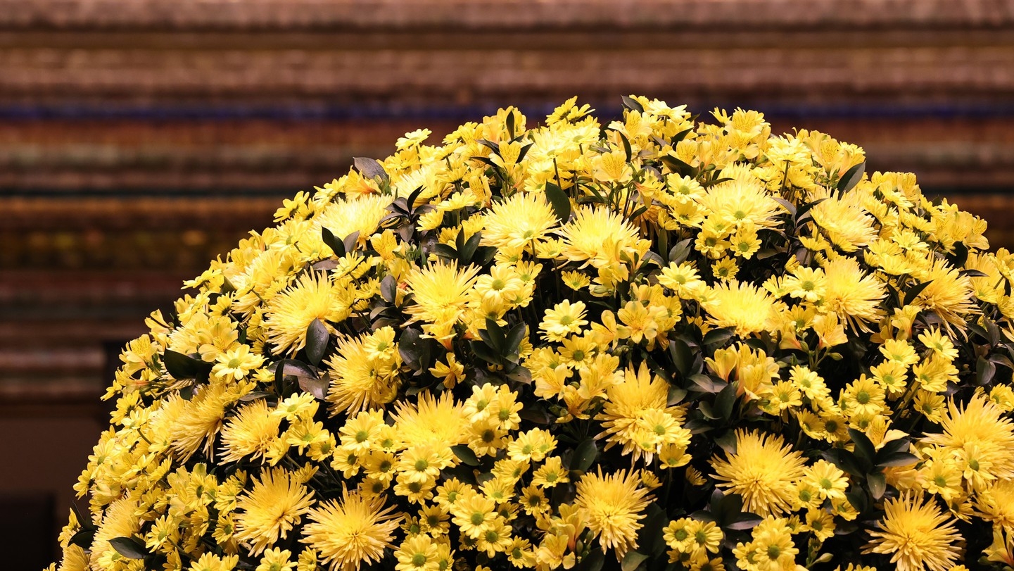 【17時IN 10時OUT】ショートステイ（室料のみ）