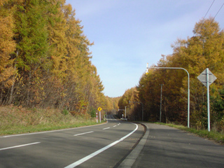 中富良野の紅葉2011-1