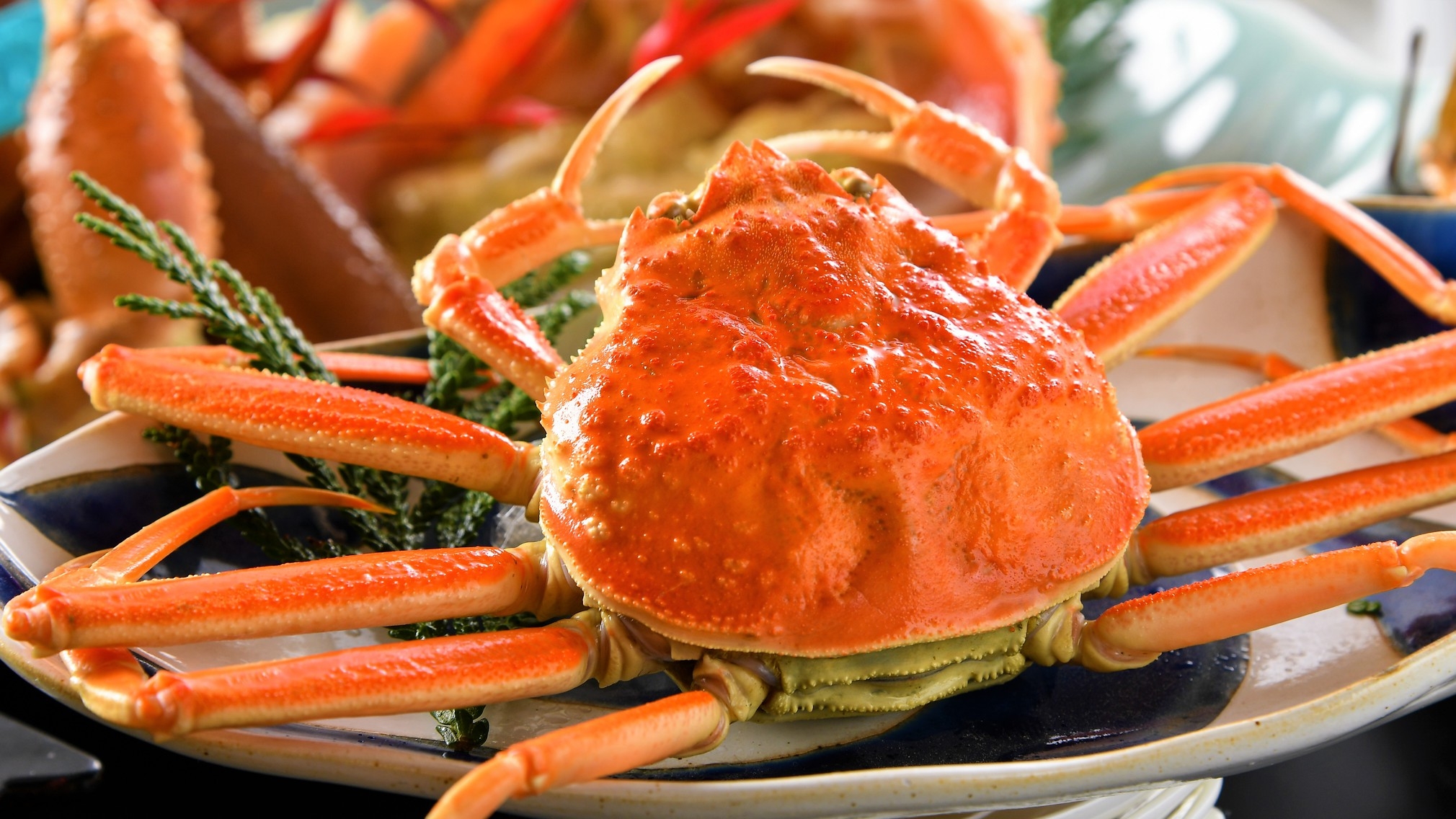 【食事処zeze確約】贅の極み★特大タグ付活蟹を二人でシェアし香箱蟹も堪能　夫婦蟹至福の饗宴
