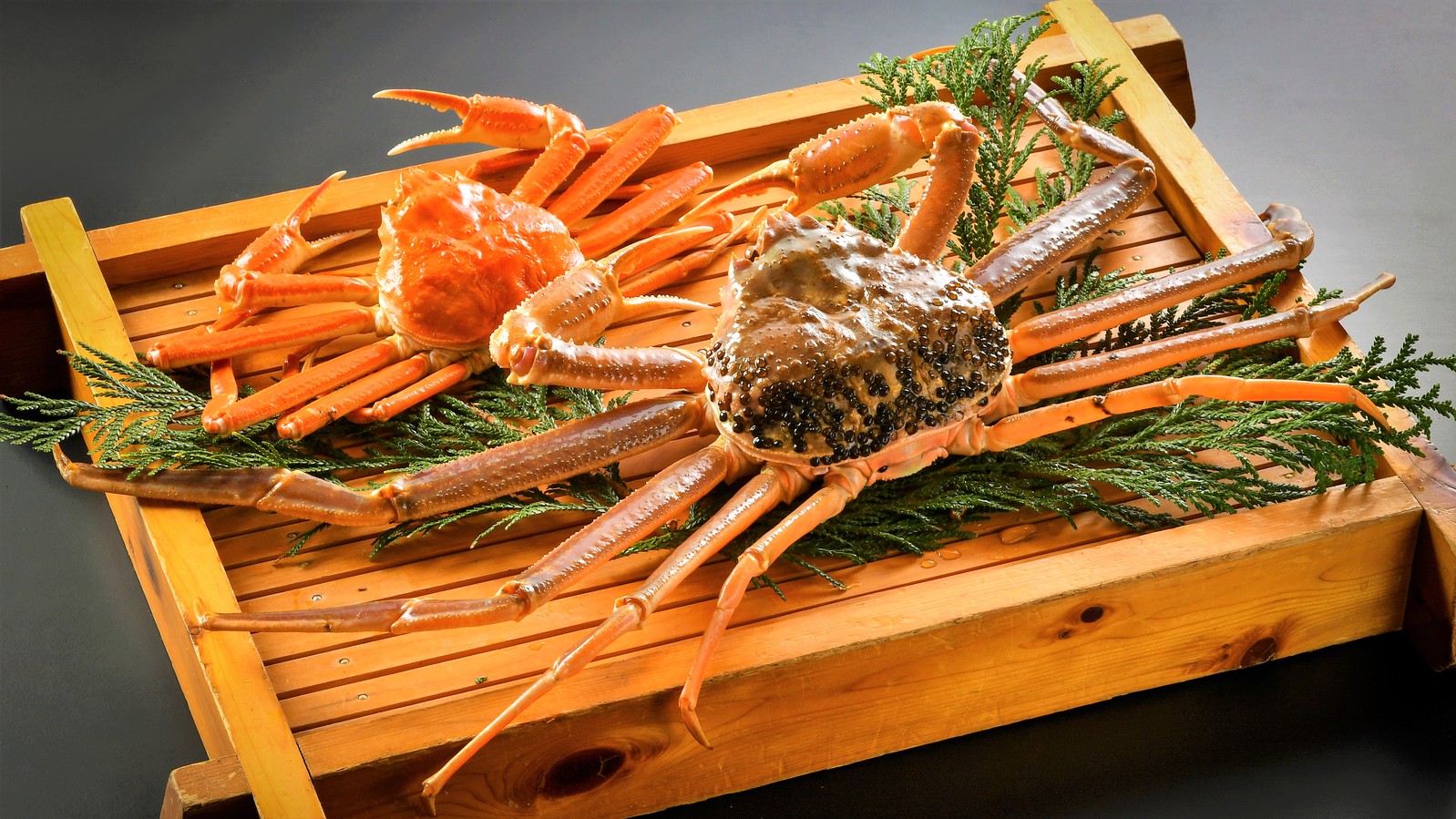 【食事処zeze確約】大迫力！特大タグ付き活蟹を二名様で一杯　焼き・刺し・蒸しを愉しむ会席