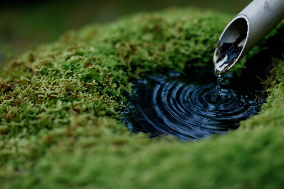 【期間限定】ずらしてお得！4/24〜5/10がお得！最大で3300円OFF！早い者勝ち！