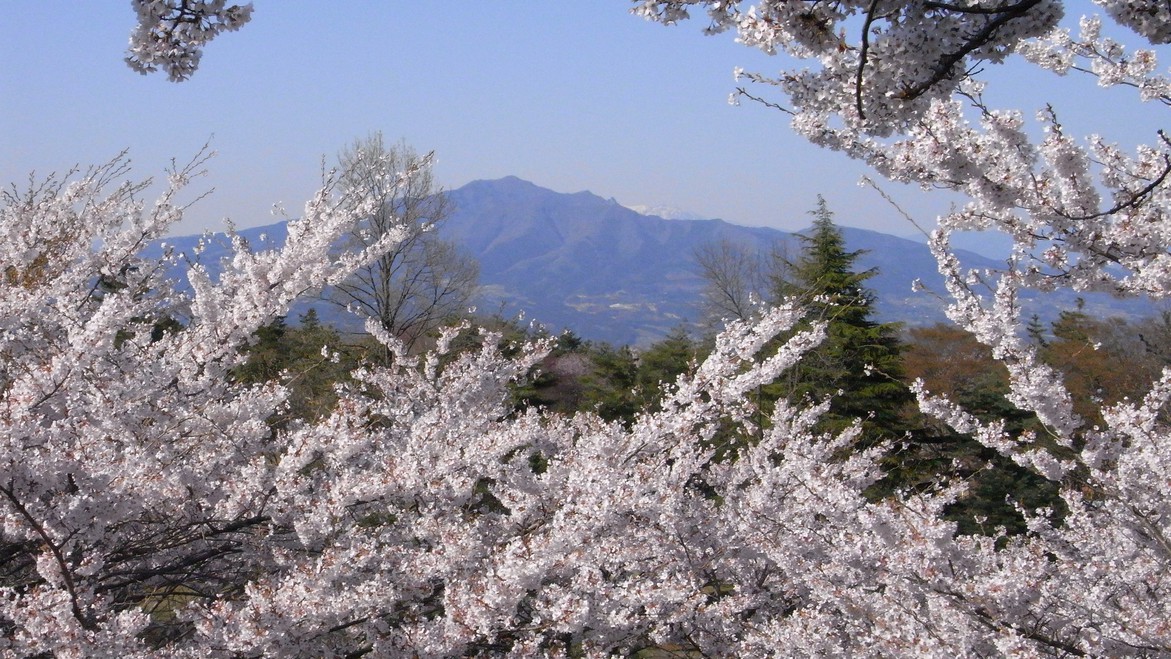 【伊香保のさくらプラン】春のお菓子＆お花見マップ進呈〇館内桜のフォトスポットも＜美味少量＞