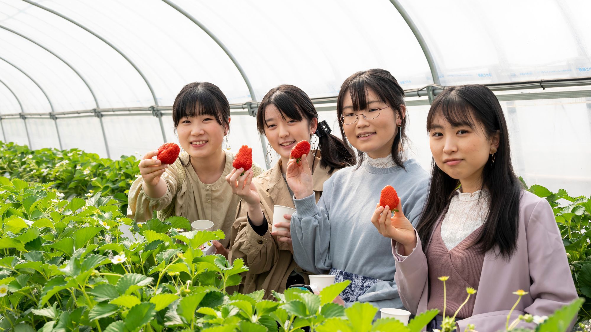 【1泊朝食】40分いちご狩り体験付〇旬の苺が食べ放題♪お車で約15分「strawberry lab」