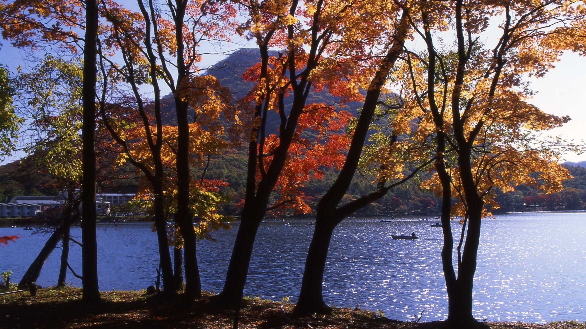 榛名湖の紅葉見ごろは例年10月中旬～11月上旬。ロープウェイから一望できます。