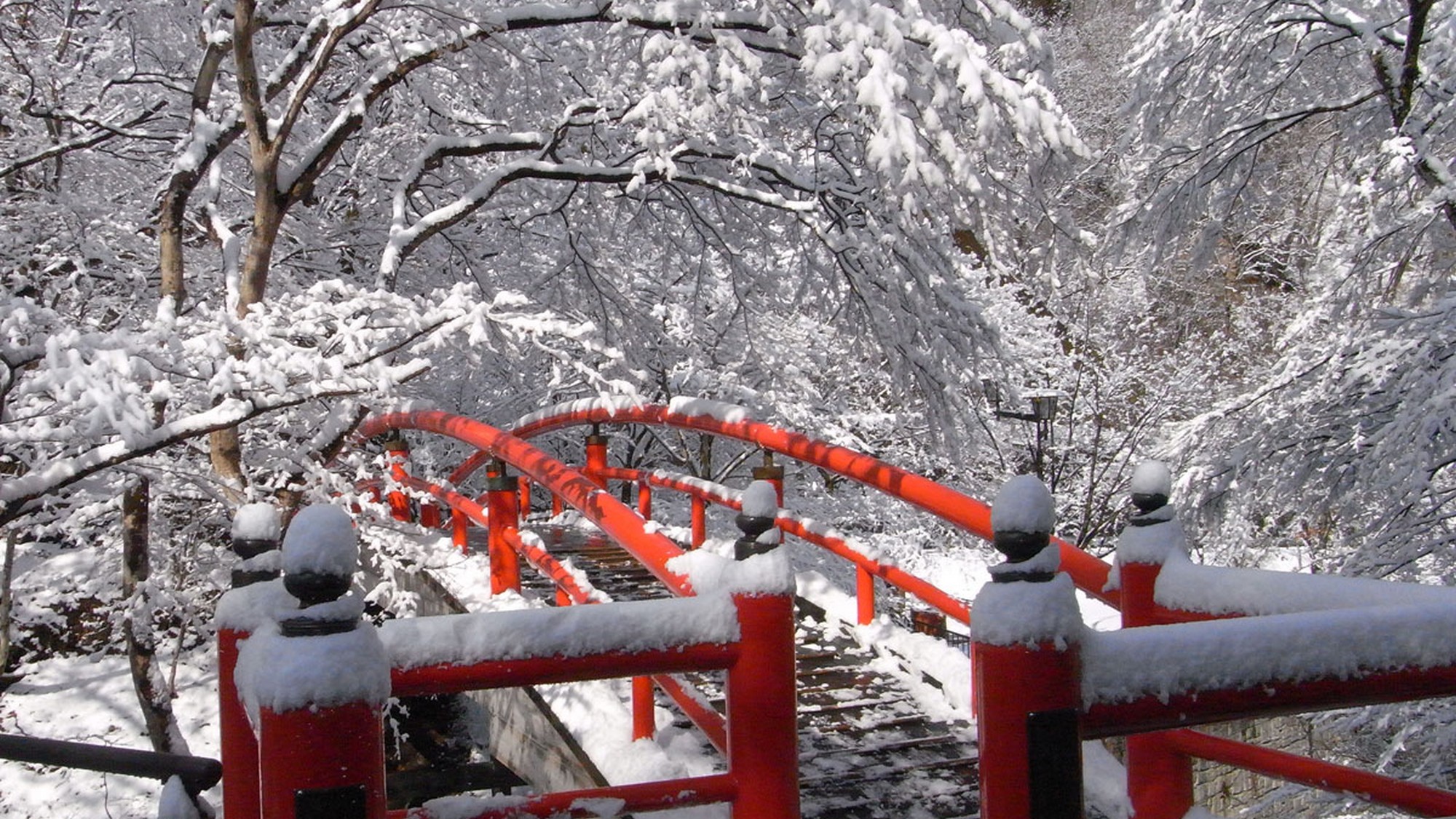 冬の河鹿橋。雪景色と朱色の橋のコントラストが綺麗