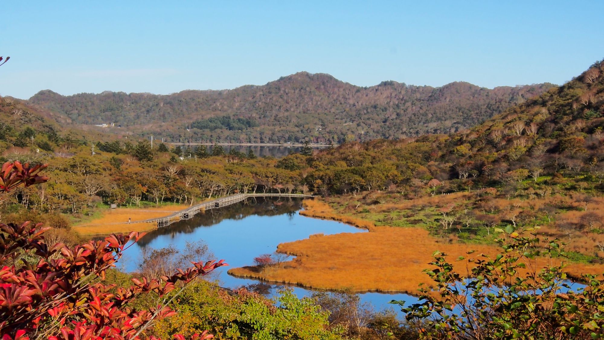 赤城山の湿原「覚満淵」水辺の散策も心地よく、一面に広がる草紅葉が人気のスポット。