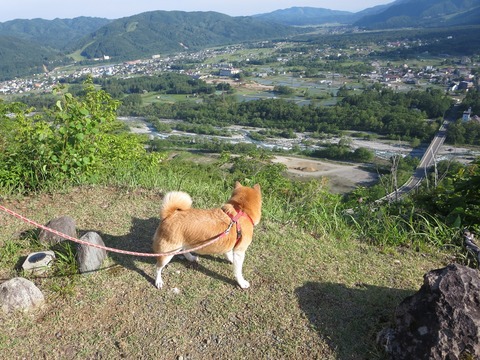 写真5
