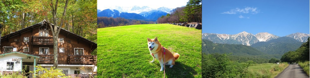 写真1