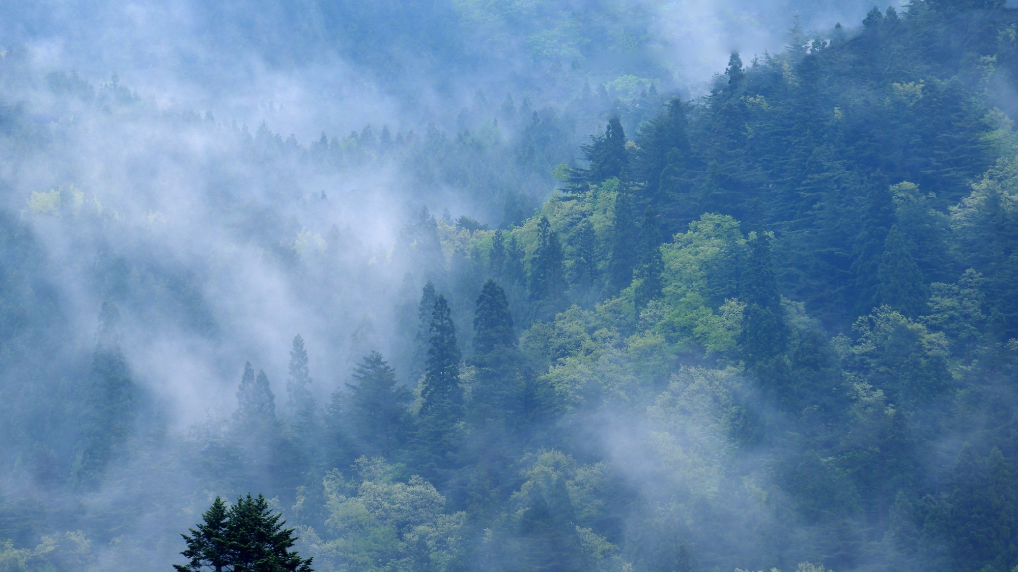 【年末年始】年末年始特別会席！年越しは一流の田舎でゆっくりと！連泊歓迎＜食事処1泊2食＞11時OUT