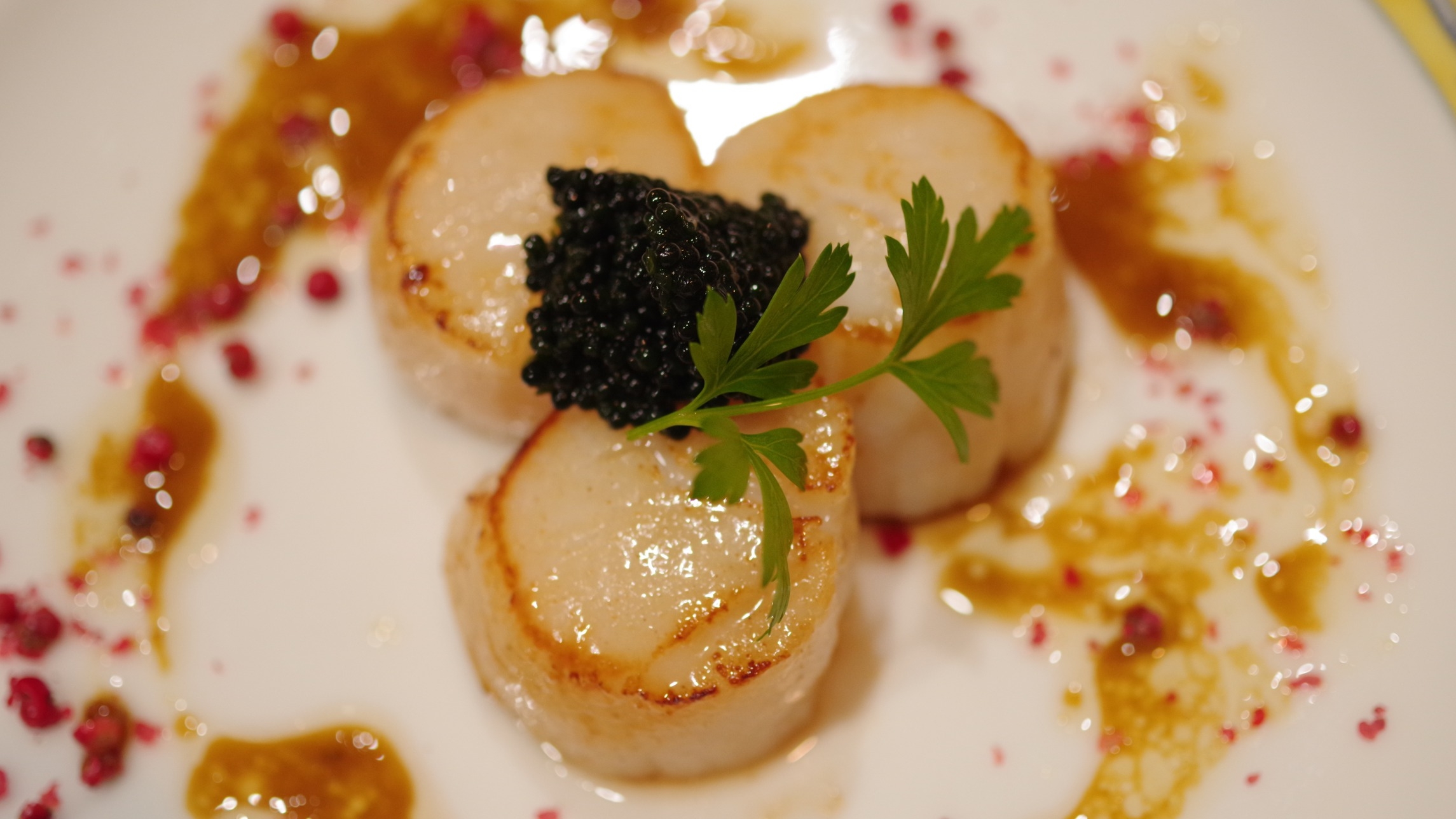 森の傍の小さな宿の天然温泉とフルコースディナー♪ {全６皿コースディナー}