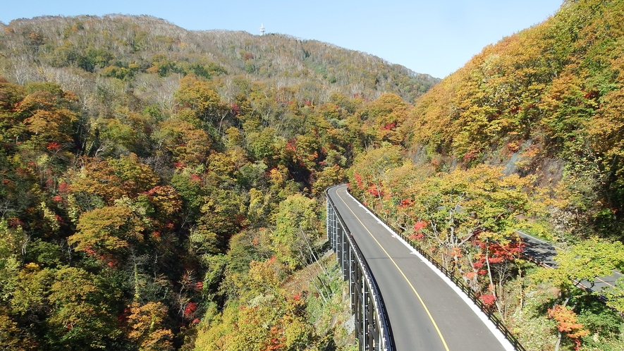 【紅葉谷】車窓よりお楽しみいただけます。