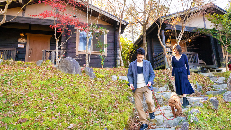 小田温泉 旅館 花心 宿泊予約 楽天トラベル