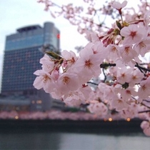 帝国ホテル大阪 写真 動画 楽天トラベル 帝国ホテル大阪 写真 動画 楽天トラベル