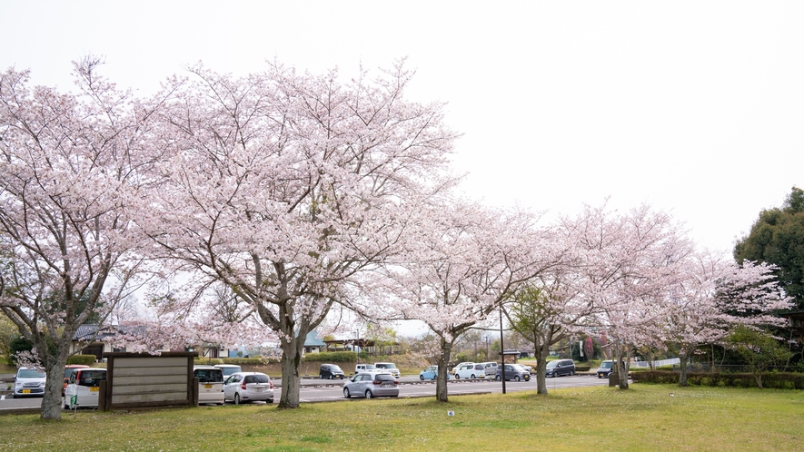 【駐車場】自然いっぱいの芝生の奥には広々駐車場が。大きなお車も安心。無料でご利用いただけます。