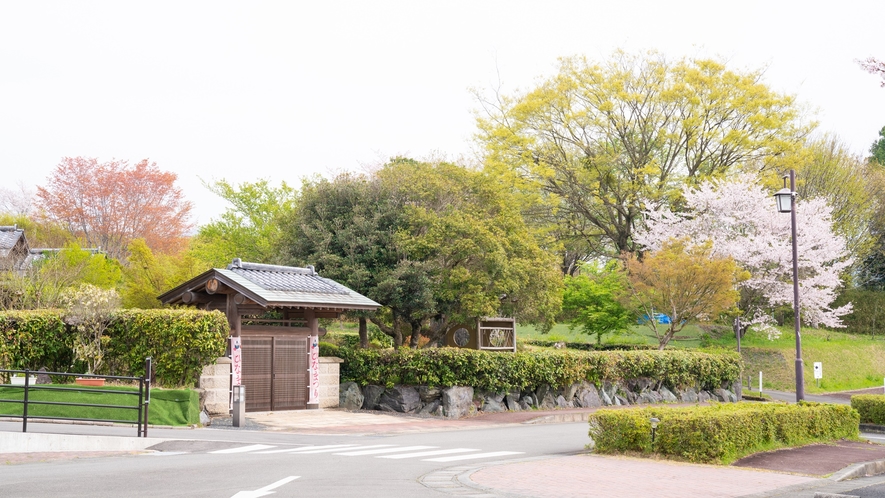 【離れ一例】離れ客室はこちらの門からお入りください。春は綺麗な桜もお楽しみいただけます。