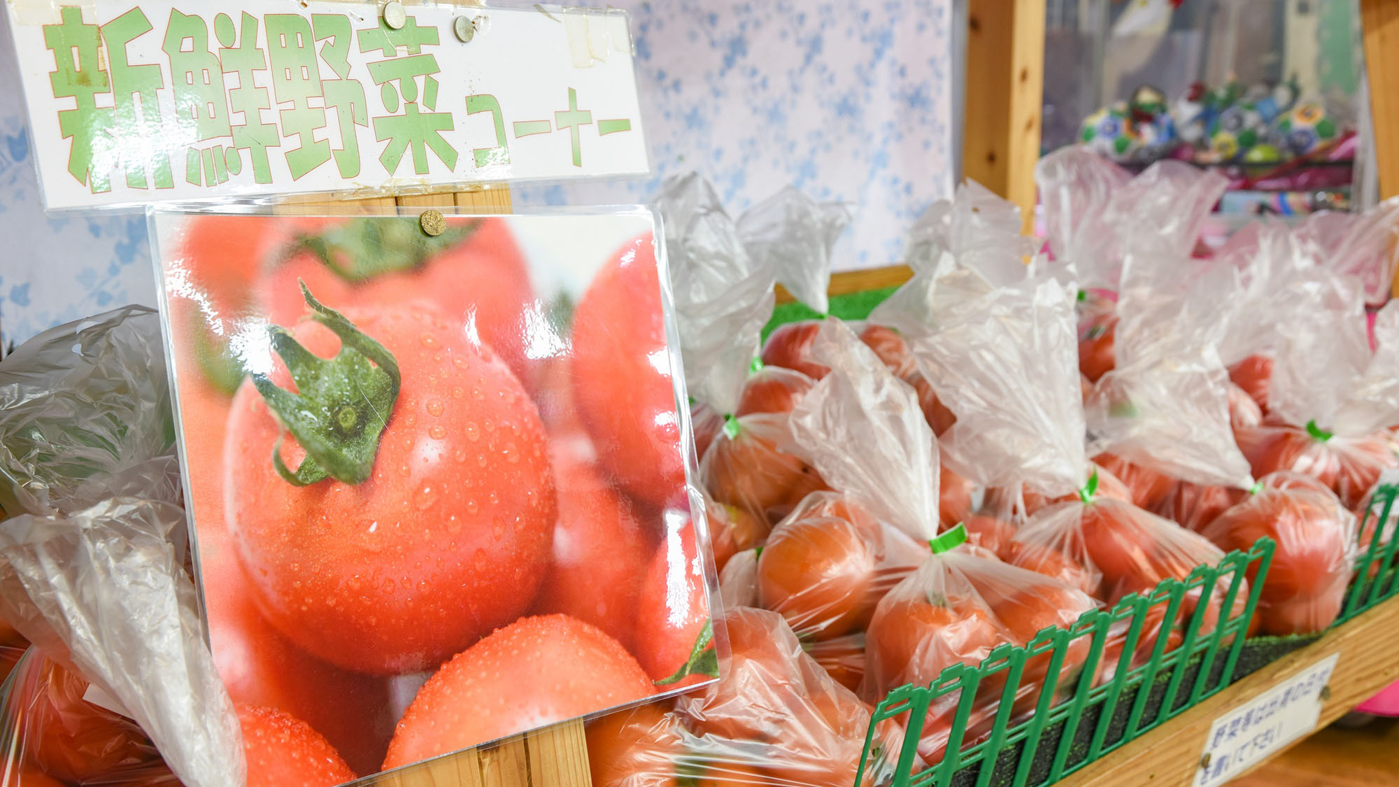 *【お土産処】館内では地元の野菜もお買い求めいただけます。