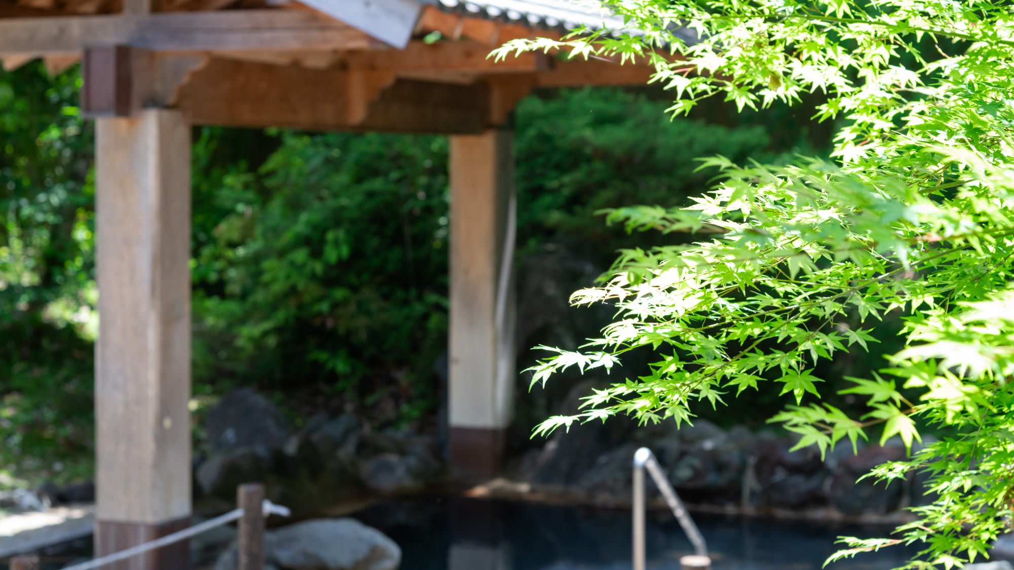 *【露天風呂】秋は紅葉、夏は新緑・・・。四季折々の風景を楽しみながら癒しのひとときを。