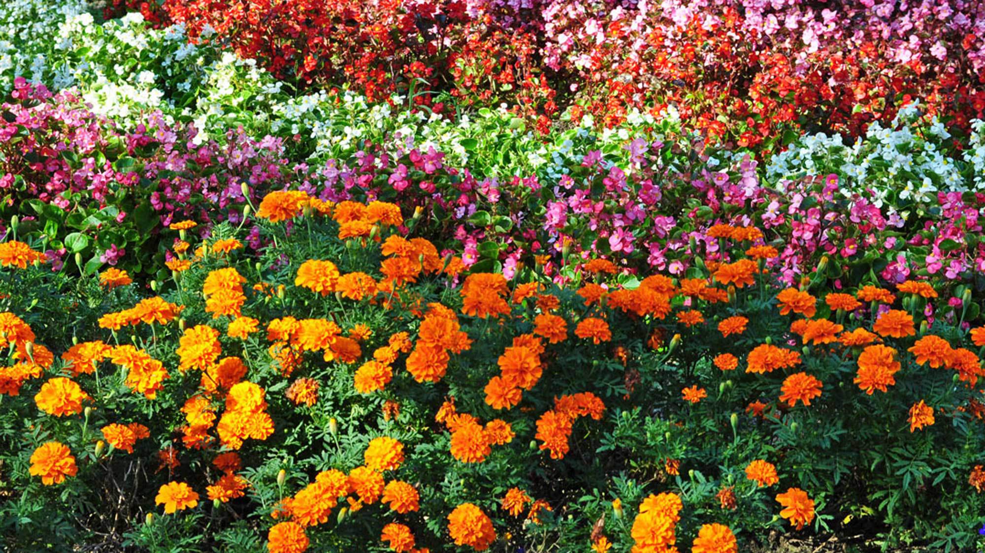 ビジネス＆観光に☆シンプルプラン（素泊り）