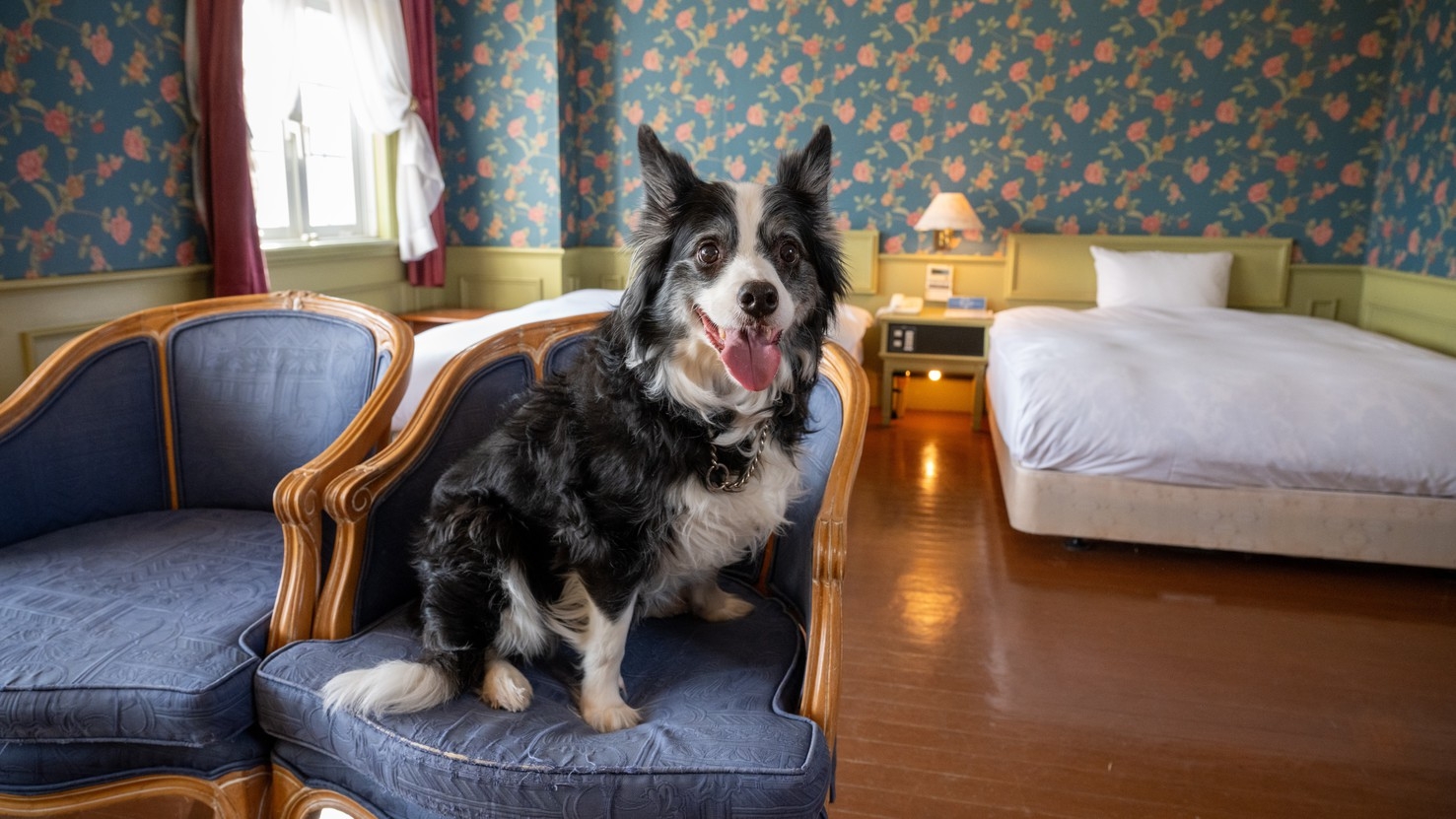 【ルシアン・早期割30】最大3000円OFF♪わんちゃん、ねこちゃんと泊まる！お食事同伴OK