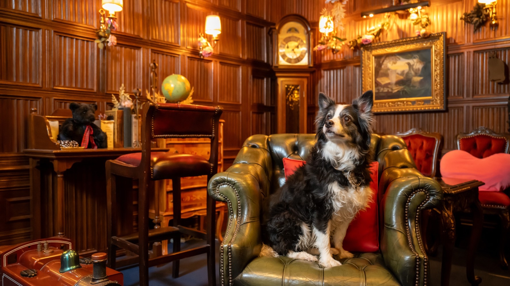 【ルシアン・Xmas限定】ルシアンプランより夕食無料アップグレード！わんちゃん連れに嬉しい特典付♪